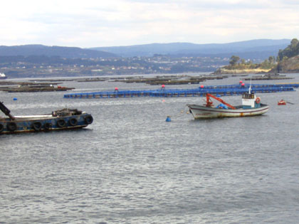 bateas2.jpg