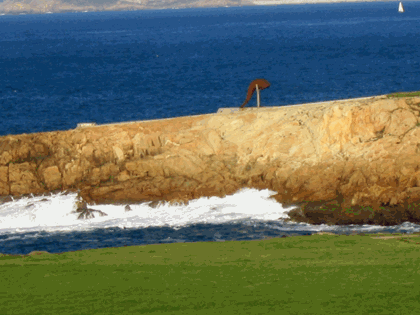caracola.gif