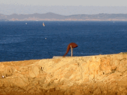 caracola2.gif