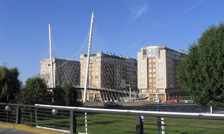 corunamatogrande1_440.jpg