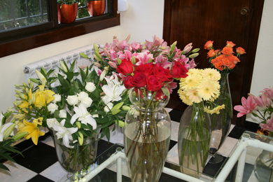 floresisteria_coruna_c.jpg
