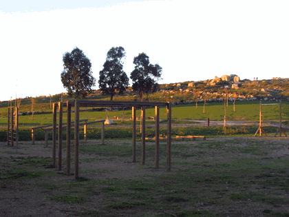 gimnasia.gif