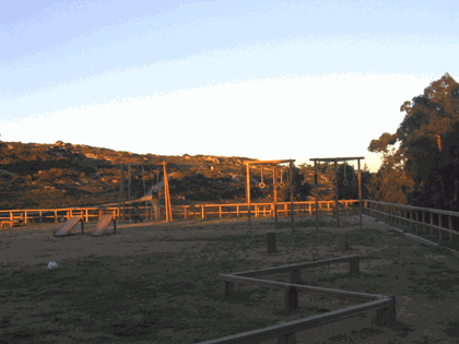 gimnasia1.gif