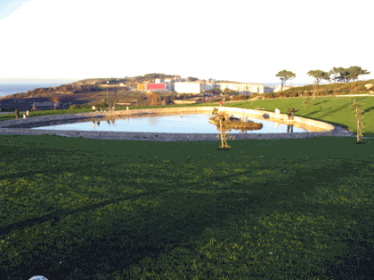 lago.gif
