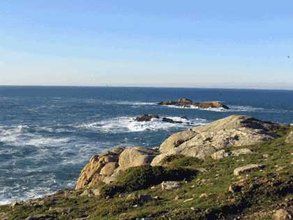 mar_torre2.gif