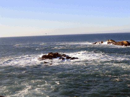mar_torre5.gif
