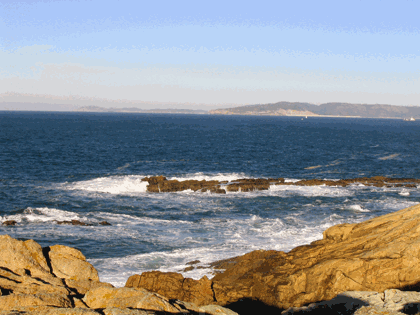 mar_torre6.gif