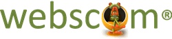 webscom - Publicidad Google Adwords